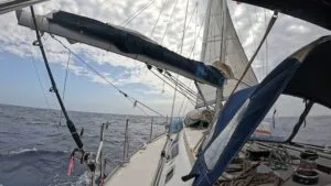 Newsletter 04/24 – Foto aus dem Logbuch