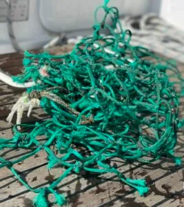 Newsletter 03/23 – Foto aus dem Logbuch